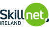 Skillnet ireland