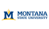 Montana state university 100x60