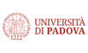 University of padova 100x60